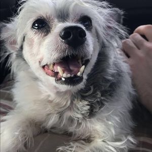 Meet your Posher, Devery